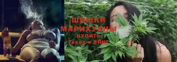 ECSTASY Богданович