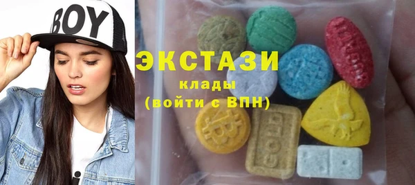 ECSTASY Богданович